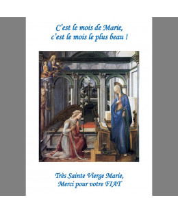 Image A6 (105 x148) "C’est le mois de Marie"
